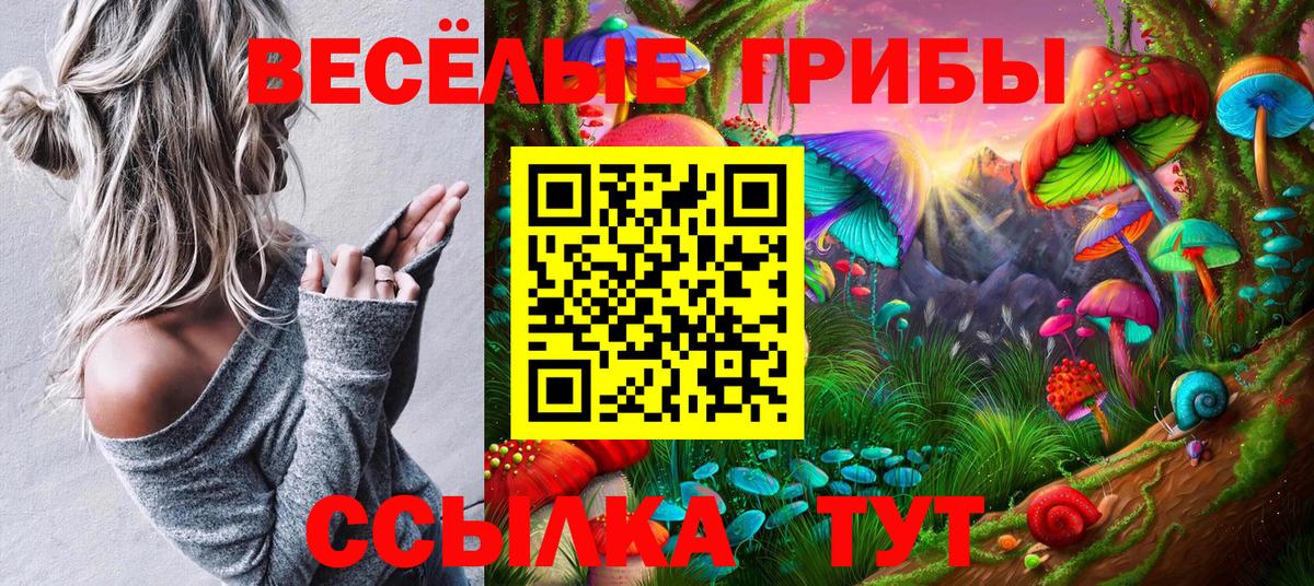 Галлюциногенные грибы Psilocybe  Вход с VPN  Коряжма  купить наркоту  Галлюциногенные грибы Psilocybine cubensis 
