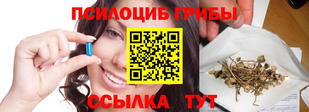 Псилоцибиновые грибы ЛСД Коряжма